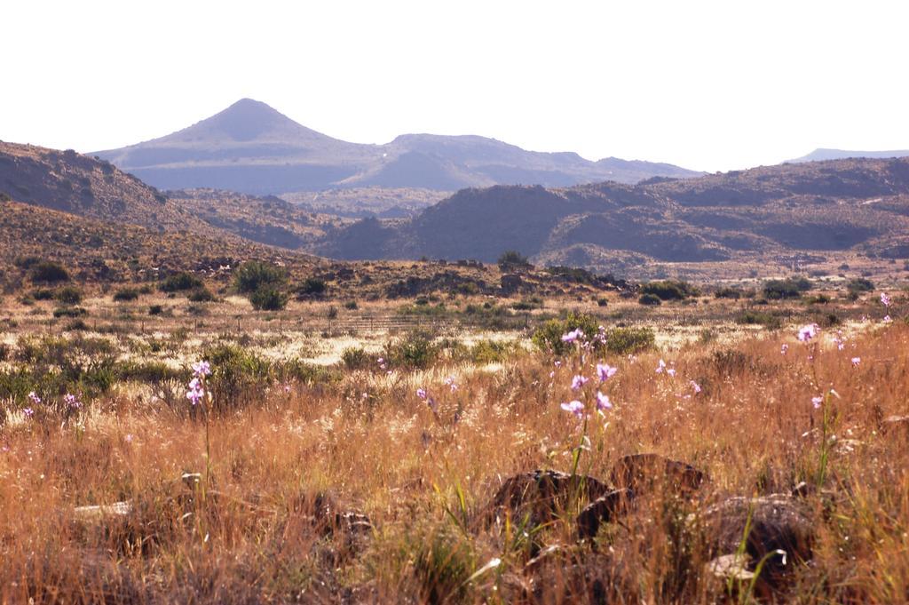 The Vale Karoo Farm Villa Nelspoort Exterior photo